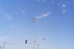 WhatsApp-Image-2022-10-05-at-12.17.34-6